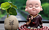 谁陪谁，谁信谁，谁骗谁，谁懂谁，谁是谁