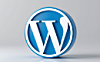WordPress 媒体清理插件 (Media Cleaner Pro)