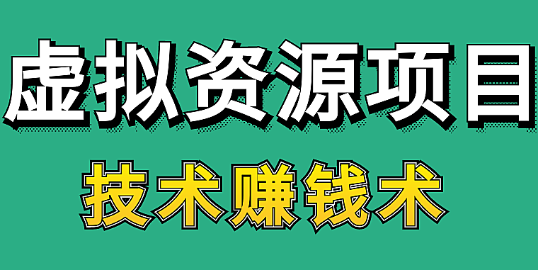 虚拟资料项目，今年才是真正的机会！