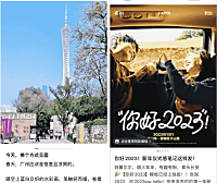 微信小绿书是什么？微信小绿书的详细介绍