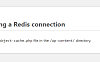 网站错误提示“Error establishing a Redis connection”怎么办？